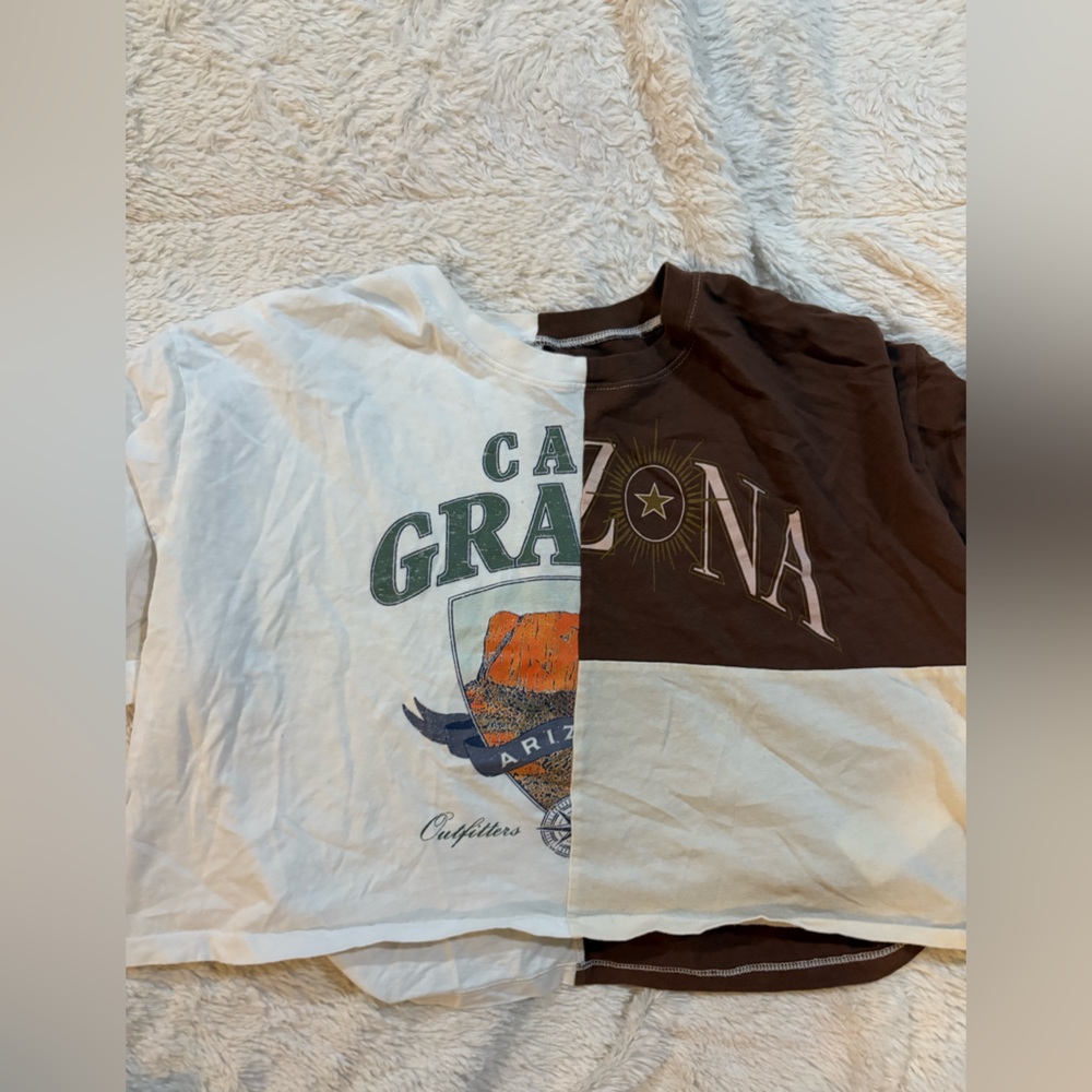 Hollister Brown and White Graphic Tee- Medium
